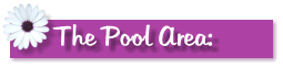 The Pool Area: