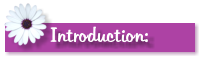 Introduction: