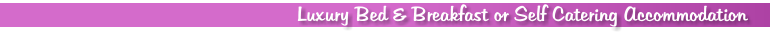 Luxury Bed & Breakfast or Self Catering Accommodation